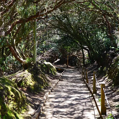 Daire El Olivo House A San Isidro (Tenerife)