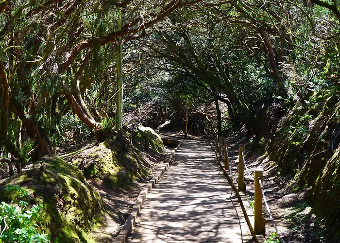 Апартаменты El Olivo House A Сан-Исидро